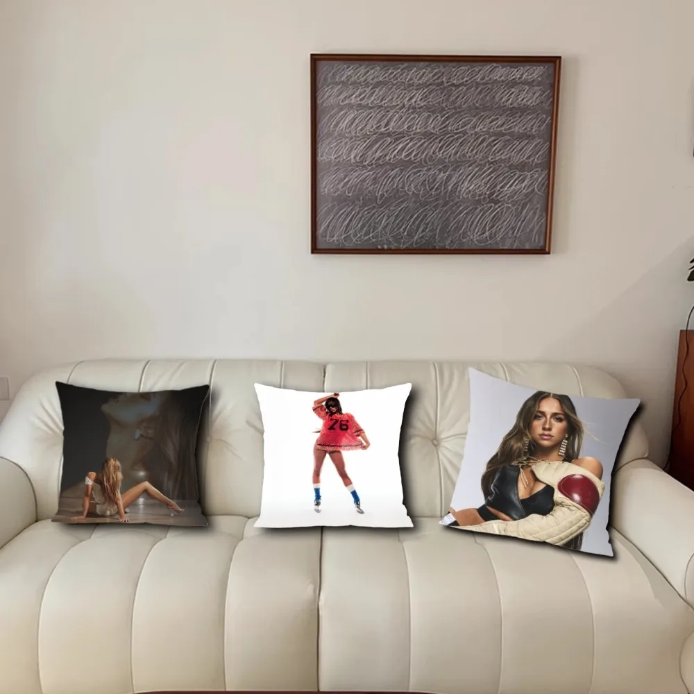 Singer T-Tate M-McRaes So Close To What Pillow - Image 3